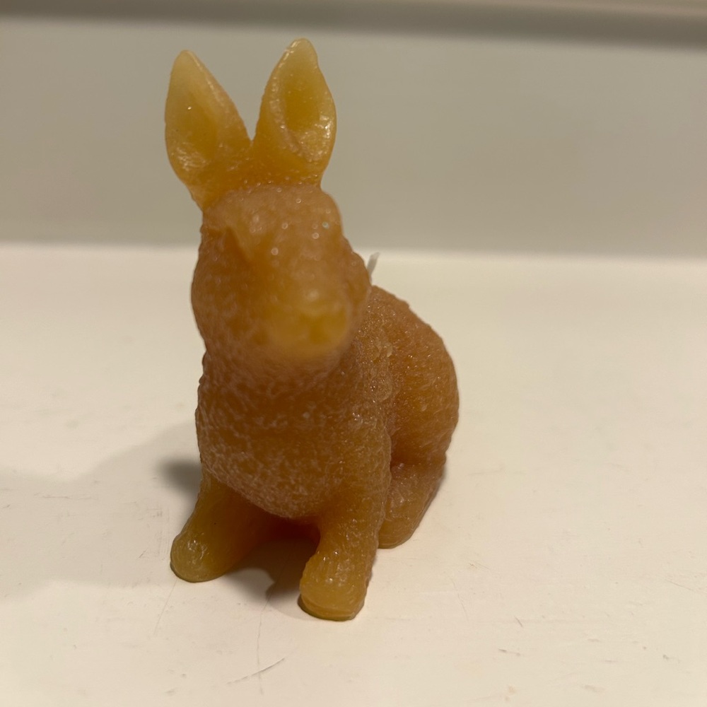 Illuminations Honey Bunny Candle Set - Picture 2 of 13
